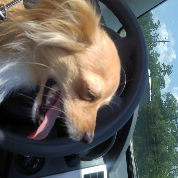 Meet your Posher, Michelle - Picture 1 of 1